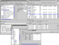 Overview Snapshot